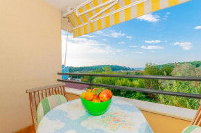 Отель Apartment IRENA  Пула